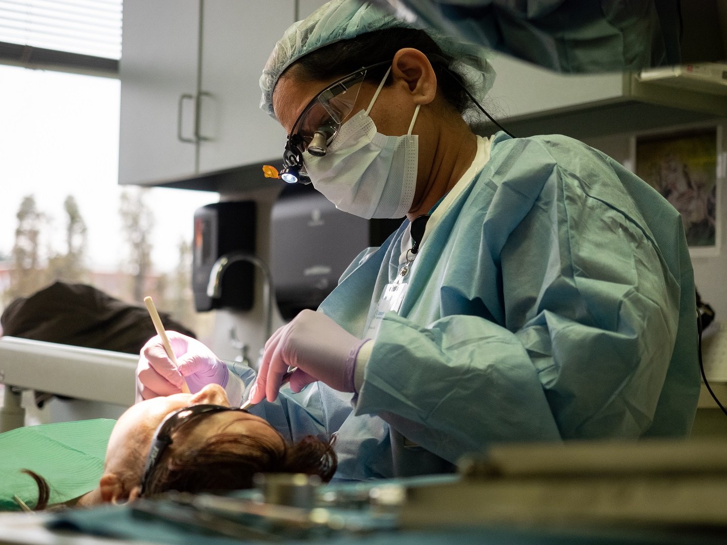 A female dentist works on a patient