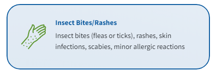 Insect Bites Rashes
